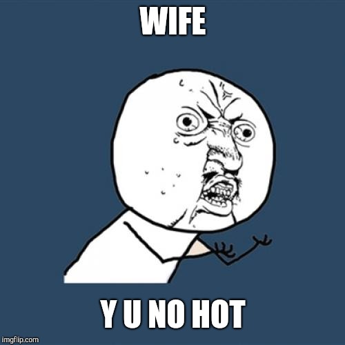 Y U No Meme | WIFE Y U NO HOT | image tagged in memes,y u no | made w/ Imgflip meme maker