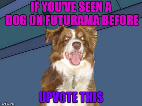 IF YOU'VE SEEN A DOG ON FUTURAMA BEFORE; UPVOTE THIS | image tagged in futurama chili,chili the border collie,dogs,border collie | made w/ Imgflip meme maker