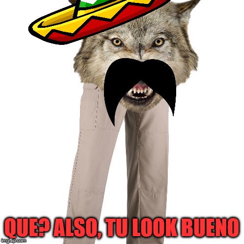 QUE? ALSO, TU LOOK BUENO | made w/ Imgflip meme maker