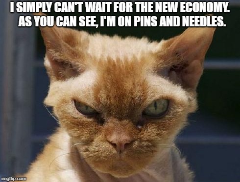 Mad Cat | I SIMPLY CAN'T WAIT FOR THE NEW ECONOMY.  AS YOU CAN SEE, I'M ON PINS AND NEEDLES. | image tagged in mad cat | made w/ Imgflip meme maker