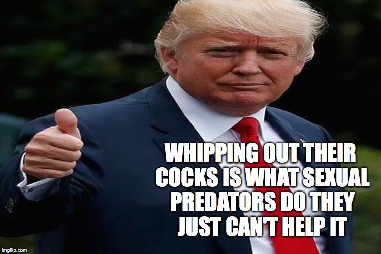 WHIPPING OUT THEIR COCKS IS WHAT SEXUAL PREDATORS DO THEY JUST CAN'T HELP IT | made w/ Imgflip meme maker