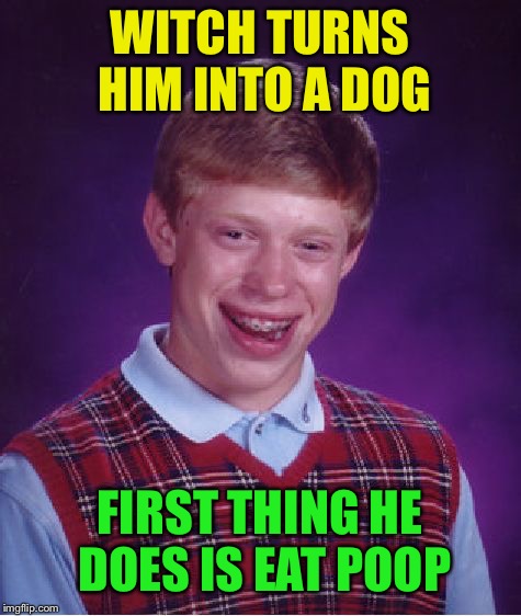 Bad Luck Brian Meme | WITCH TURNS HIM INTO A DOG FIRST THING HE DOES IS EAT POOP | image tagged in memes,bad luck brian | made w/ Imgflip meme maker