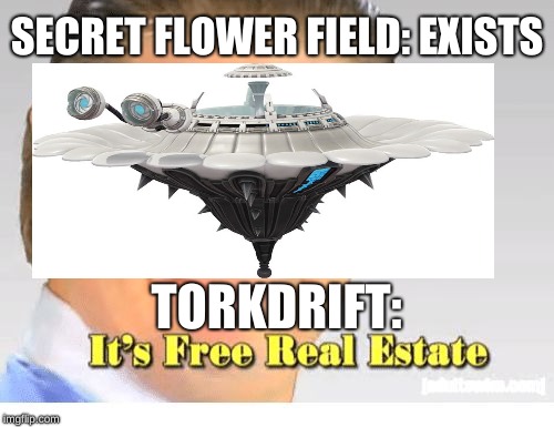 B I P E D | SECRET FLOWER FIELD: EXISTS; TORKDRIFT: | image tagged in super mario odyssey,it's free real estate | made w/ Imgflip meme maker