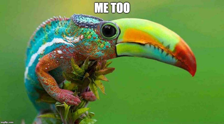 ME TOO | image tagged in lizardcan | made w/ Imgflip meme maker