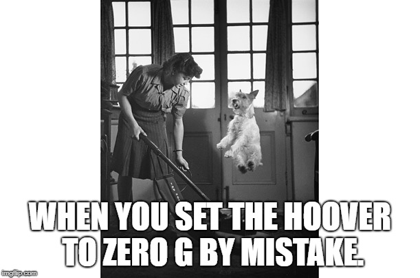 WHEN YOU SET THE HOOVER TO ZERO G BY MISTAKE. | image tagged in dogs | made w/ Imgflip meme maker