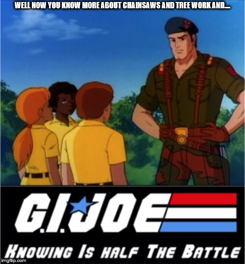 GI Joe Half the Battle | WELL NOW YOU KNOW MORE ABOUT CHAINSAWS AND TREE WORK AND.... | image tagged in gi joe half the battle | made w/ Imgflip meme maker