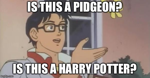 Is This a Pigeon | IS THIS A PIDGEON? IS THIS A HARRY POTTER? | image tagged in is this a pigeon | made w/ Imgflip meme maker