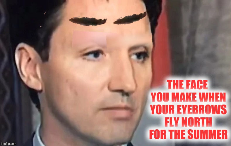 THE FACE YOU MAKE WHEN YOUR EYEBROWS FLY NORTH FOR THE SUMMER | made w/ Imgflip meme maker