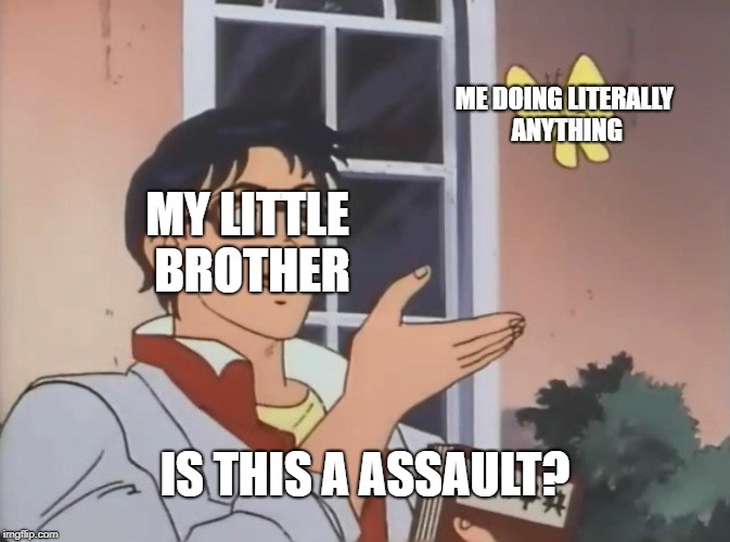 Every day sitting in the car. | ME DOING LITERALLY ANYTHING; MY LITTLE BROTHER; IS THIS A ASSAULT? | image tagged in is this a bird,did i accidentally label this nsfw,plz tell me xd,also,who uses tags anyway,so im gonna just put this | made w/ Imgflip meme maker