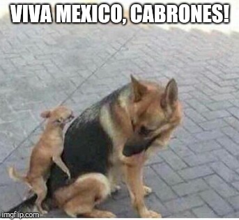 VIVA MEXICO, CABRONES! | image tagged in mx | made w/ Imgflip meme maker