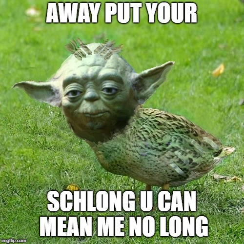 Yoda Duck | AWAY PUT YOUR SCHLONG U CAN MEAN ME NO LONG | image tagged in yoda duck | made w/ Imgflip meme maker