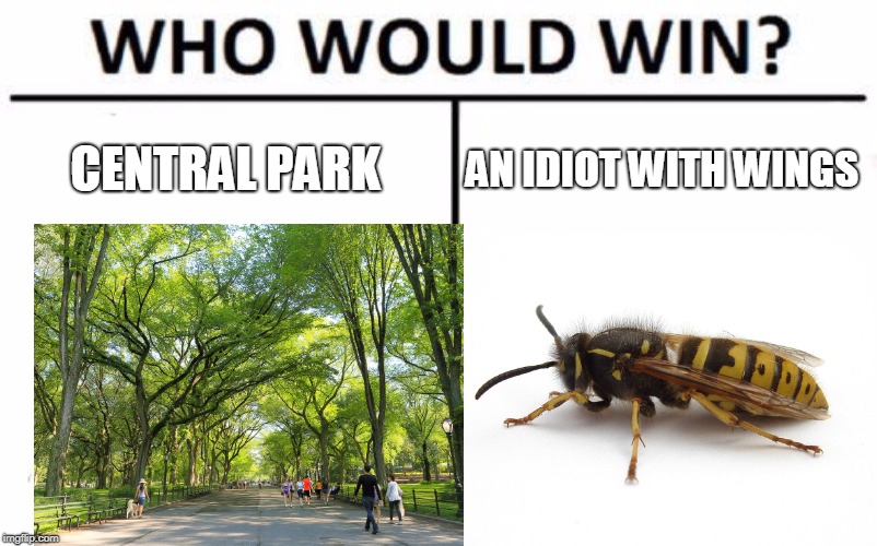 Who Would Win? Meme | CENTRAL PARK; AN IDIOT WITH WINGS | image tagged in memes,who would win | made w/ Imgflip meme maker