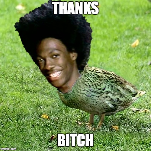 DuckWheat | THANKS B**CH | image tagged in duckwheat | made w/ Imgflip meme maker