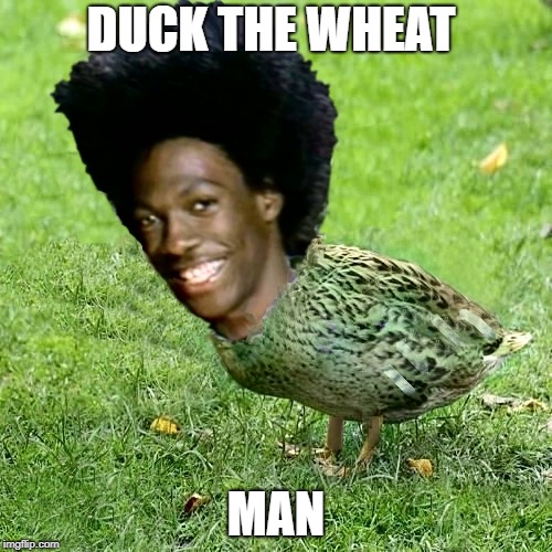That's right | DUCK THE WHEAT; MAN | image tagged in duckith wheatith,wheaties,meme,ememes | made w/ Imgflip meme maker