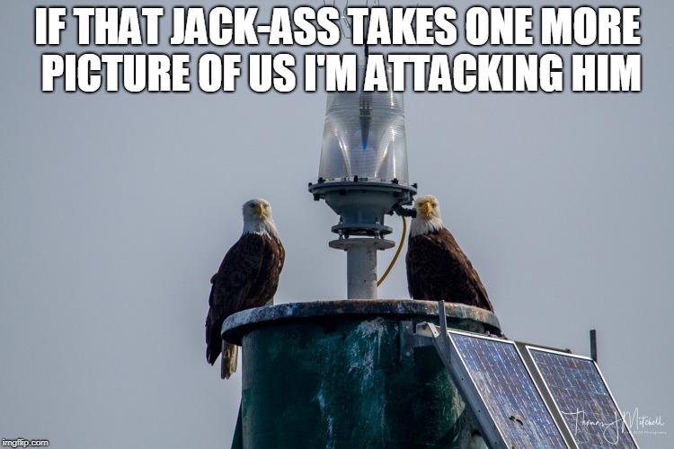 IF THAT JACK-ASS TAKES ONE MORE PICTURE OF US I'M ATTACKING HIM | made w/ Imgflip meme maker