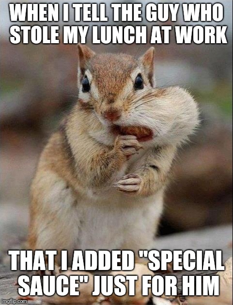 Surprisingly, my lunch was never stolen again | WHEN I TELL THE GUY WHO STOLE MY LUNCH AT WORK; THAT I ADDED "SPECIAL SAUCE" JUST FOR HIM | image tagged in chipmunk,lunch thief,special sauce | made w/ Imgflip meme maker