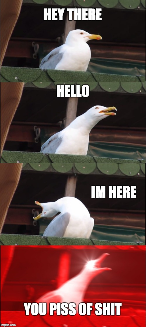 Inhaling Seagull | HEY THERE; HELLO; IM HERE; YOU PISS OF SHIT | image tagged in memes,inhaling seagull | made w/ Imgflip meme maker