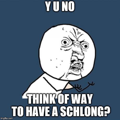 Y U No Meme | Y U NO THINK OF WAY TO HAVE A SCHLONG? | image tagged in memes,y u no | made w/ Imgflip meme maker