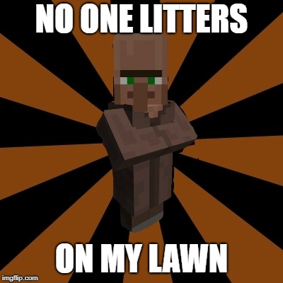 silly minecraft villager  | NO ONE LITTERS ON MY LAWN | image tagged in silly minecraft villager | made w/ Imgflip meme maker