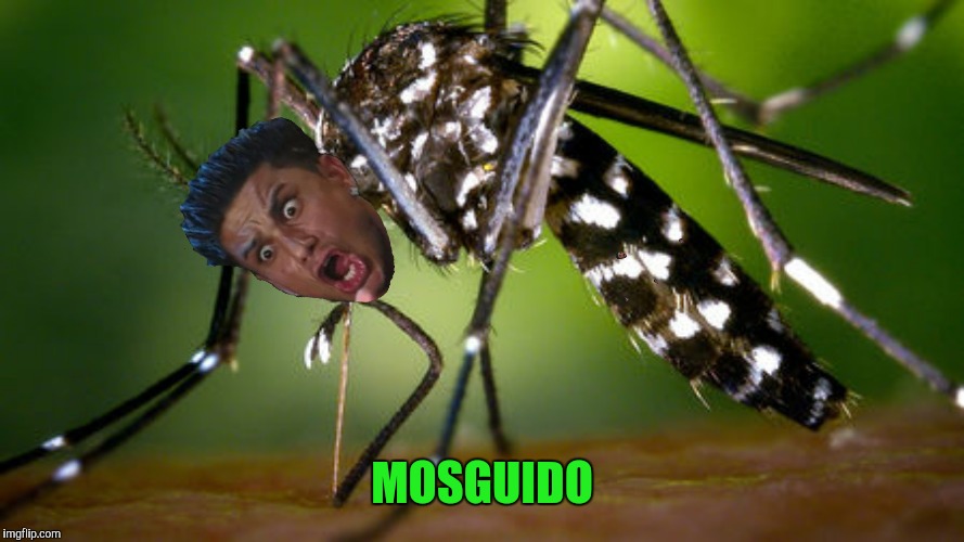 MOSGUIDO | image tagged in memes,funny,mosquito,dj pauly d,mosguido | made w/ Imgflip meme maker