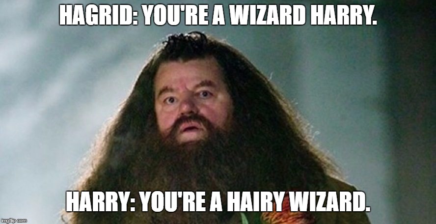 What a Comeback | HAGRID: YOU'RE A WIZARD HARRY. HARRY: YOU'RE A HAIRY WIZARD. | image tagged in hagrid,roast | made w/ Imgflip meme maker
