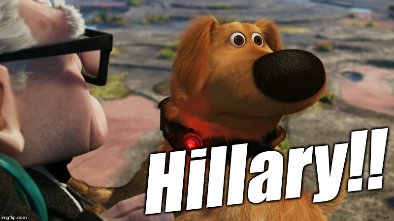 Up "SQUIRREL!!" dog now distracted by an imaginary Hillary Clinton who keeps following him. | Hillary!! | image tagged in up squirrel dog,hillary,clinton | made w/ Imgflip meme maker