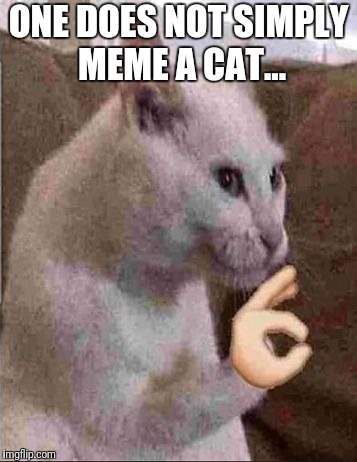 ONE DOES NOT SIMPLY MEME A CAT... | image tagged in yeah great mate,one does not simply,memes,meme | made w/ Imgflip meme maker