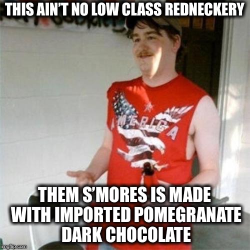 Redneck Randal | THIS AIN’T NO LOW CLASS REDNECKERY; THEM S’MORES IS MADE WITH IMPORTED POMEGRANATE DARK CHOCOLATE | image tagged in memes,redneck randal,funny,true story,true story bro | made w/ Imgflip meme maker
