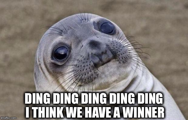 Awkward Moment Sealion Meme | DING DING DING DING DING I THINK WE HAVE A WINNER | image tagged in memes,awkward moment sealion | made w/ Imgflip meme maker