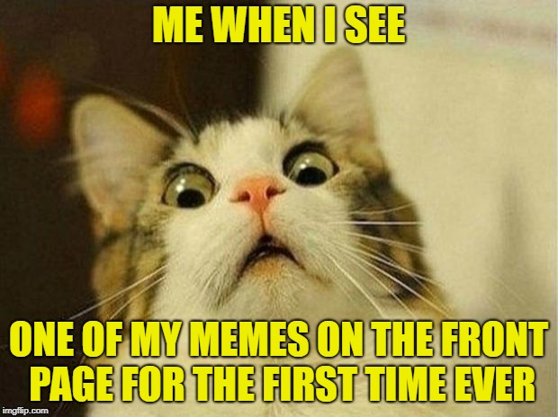 Front Page? | ME WHEN I SEE; ONE OF MY MEMES ON THE FRONT PAGE FOR THE FIRST TIME EVER | image tagged in memes,scared cat,front page | made w/ Imgflip meme maker