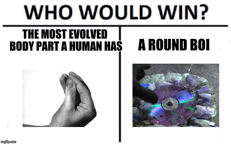 Who Would Win? Meme | THE MOST EVOLVED BODY PART A HUMAN HAS; A ROUND BOI | image tagged in memes,who would win | made w/ Imgflip meme maker