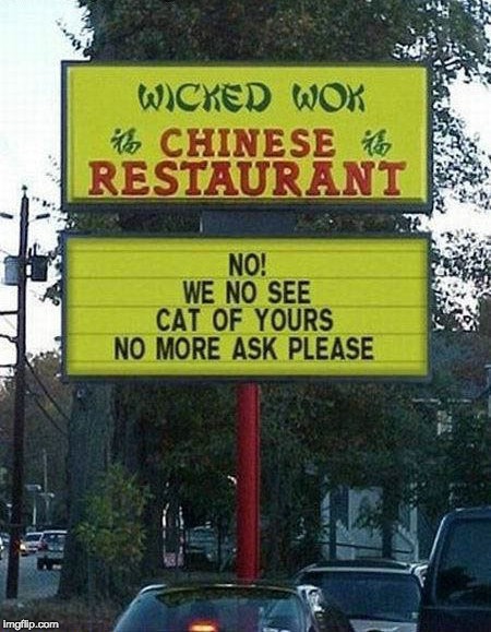 They cooked my cat months ago | image tagged in chinese,restaurant,cats | made w/ Imgflip meme maker