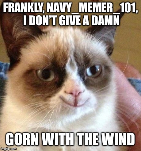 grumpy smile | FRANKLY, NAVY_MEMER_101, I DON’T GIVE A DAMN GORN WITH THE WIND | image tagged in grumpy smile | made w/ Imgflip meme maker