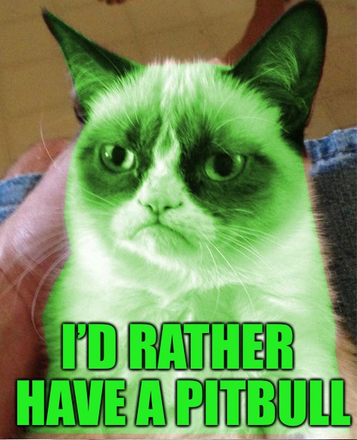 Radioactive Grumpy | I’D RATHER HAVE A PITBULL | image tagged in radioactive grumpy | made w/ Imgflip meme maker