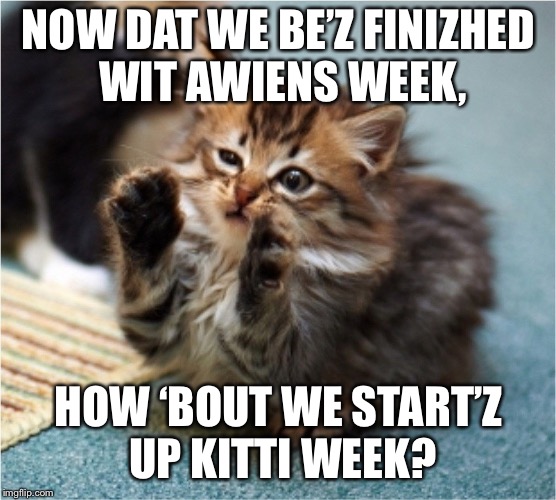  NOW DAT WE BE’Z FINIZHED WIT AWIENS WEEK, HOW ‘BOUT WE START’Z UP KITTI WEEK? | made w/ Imgflip meme maker