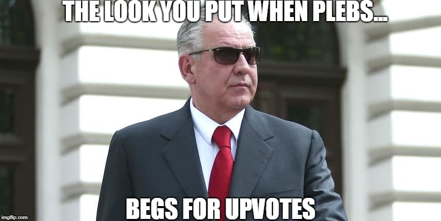 THE LOOK YOU PUT WHEN PLEBS... BEGS FOR UPVOTES | made w/ Imgflip meme maker