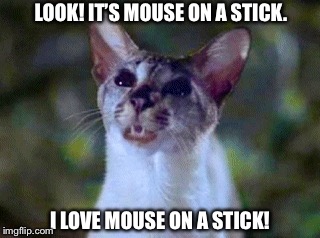 I love mouse on a stick! | LOOK! IT’S MOUSE ON A STICK. I LOVE MOUSE ON A STICK! | image tagged in lucky,memes,stuart little,siamese cat,funny,cat | made w/ Imgflip meme maker