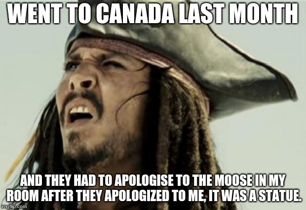 confused dafuq jack sparrow what | WENT TO CANADA LAST MONTH; AND THEY HAD TO APOLOGISE TO THE MOOSE IN MY ROOM AFTER THEY APOLOGIZED TO ME, IT WAS A STATUE. | image tagged in confused dafuq jack sparrow what | made w/ Imgflip meme maker