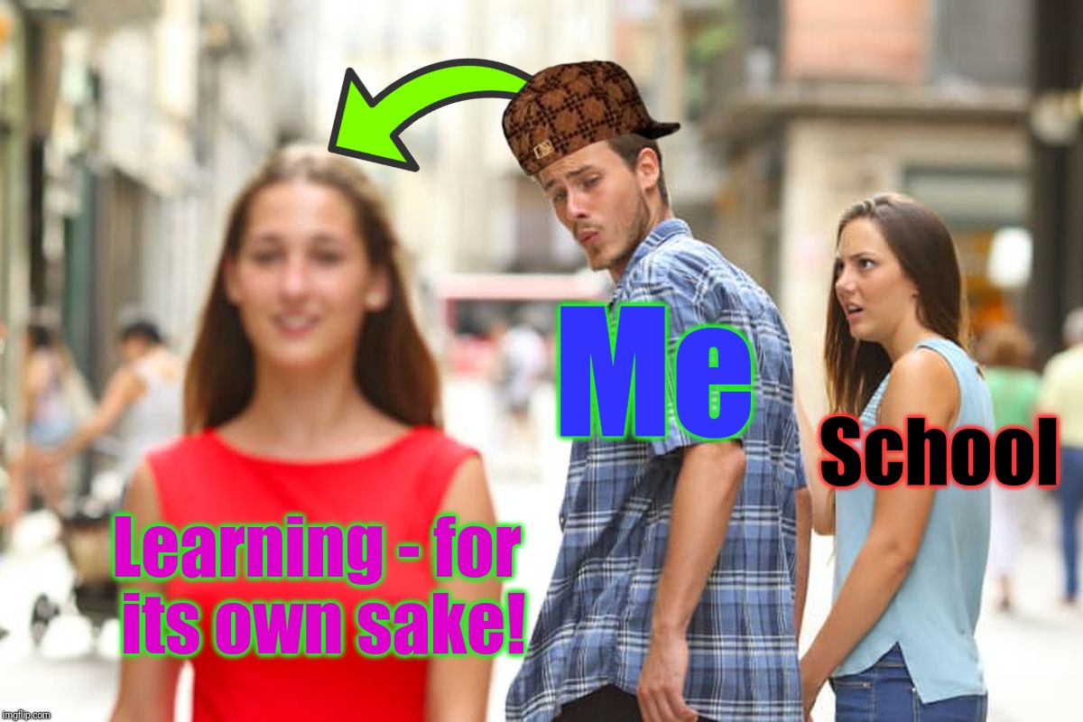 Distracted Boyfriend Meme | Learning - for its own sake! Me School | image tagged in memes,distracted boyfriend,scumbag | made w/ Imgflip meme maker