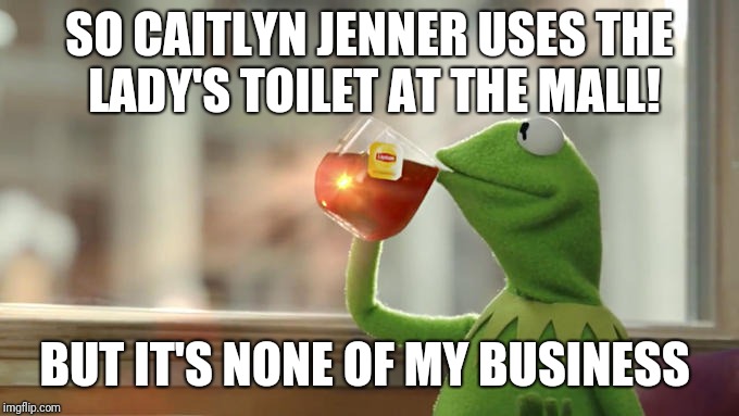 SO CAITLYN JENNER USES THE LADY'S TOILET AT THE MALL! BUT IT'S NONE OF MY BUSINESS | image tagged in caitlyn jenner | made w/ Imgflip meme maker