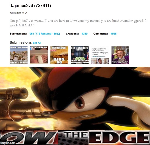 Some poor parent out there really needs to limit their middle schooler's Internet privileges.  | image tagged in edgy,shadow the hedgehog,imgflip users,politically correct | made w/ Imgflip meme maker