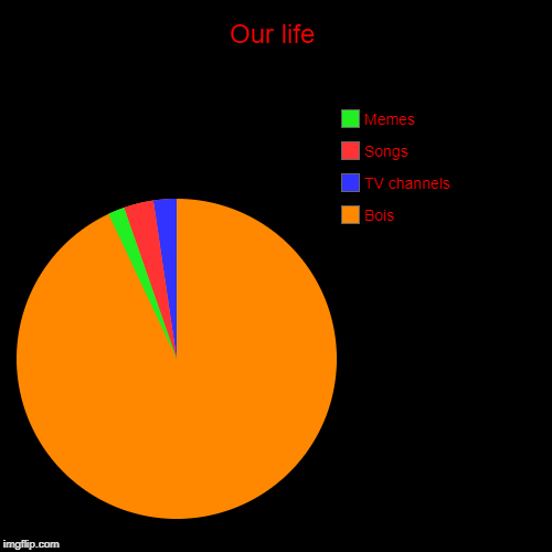 Our life | Bois, TV channels, Songs, Memes | image tagged in funny,pie charts | made w/ Imgflip chart maker