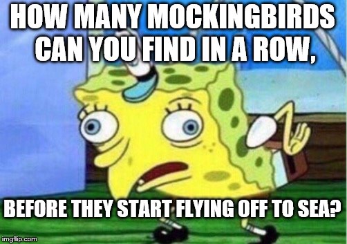 Mocking Spongebob Meme | HOW MANY MOCKINGBIRDS CAN YOU FIND IN A ROW, BEFORE THEY START FLYING OFF TO SEA? | image tagged in memes,mocking spongebob | made w/ Imgflip meme maker