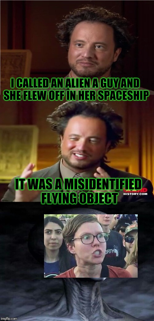 Aliens week - the best meme I could think of for the event | I CALLED AN ALIEN A GUY AND SHE FLEW OFF IN HER SPACESHIP; IT WAS A MISIDENTIFIED FLYING OBJECT | image tagged in bad pun aliens guy,triggered liberal | made w/ Imgflip meme maker