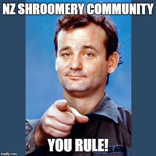 NZ SHROOMERY COMMUNITY; YOU RULE! | made w/ Imgflip meme maker