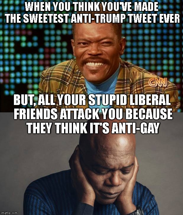 So, This Just Happened | WHEN YOU THINK YOU'VE MADE THE SWEETEST ANTI-TRUMP TWEET EVER; BUT, ALL YOUR STUPID LIBERAL FRIENDS ATTACK YOU BECAUSE THEY THINK IT'S ANTI-GAY | image tagged in samuel l jackson,actors,gay,lgbt,homophobic,twitter | made w/ Imgflip meme maker