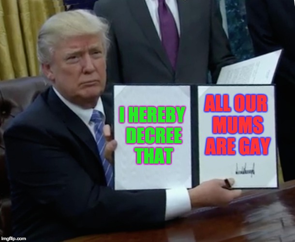 Trump Bill Signing Meme | I HEREBY DECREE THAT; ALL OUR MUMS ARE GAY | image tagged in memes,trump bill signing | made w/ Imgflip meme maker