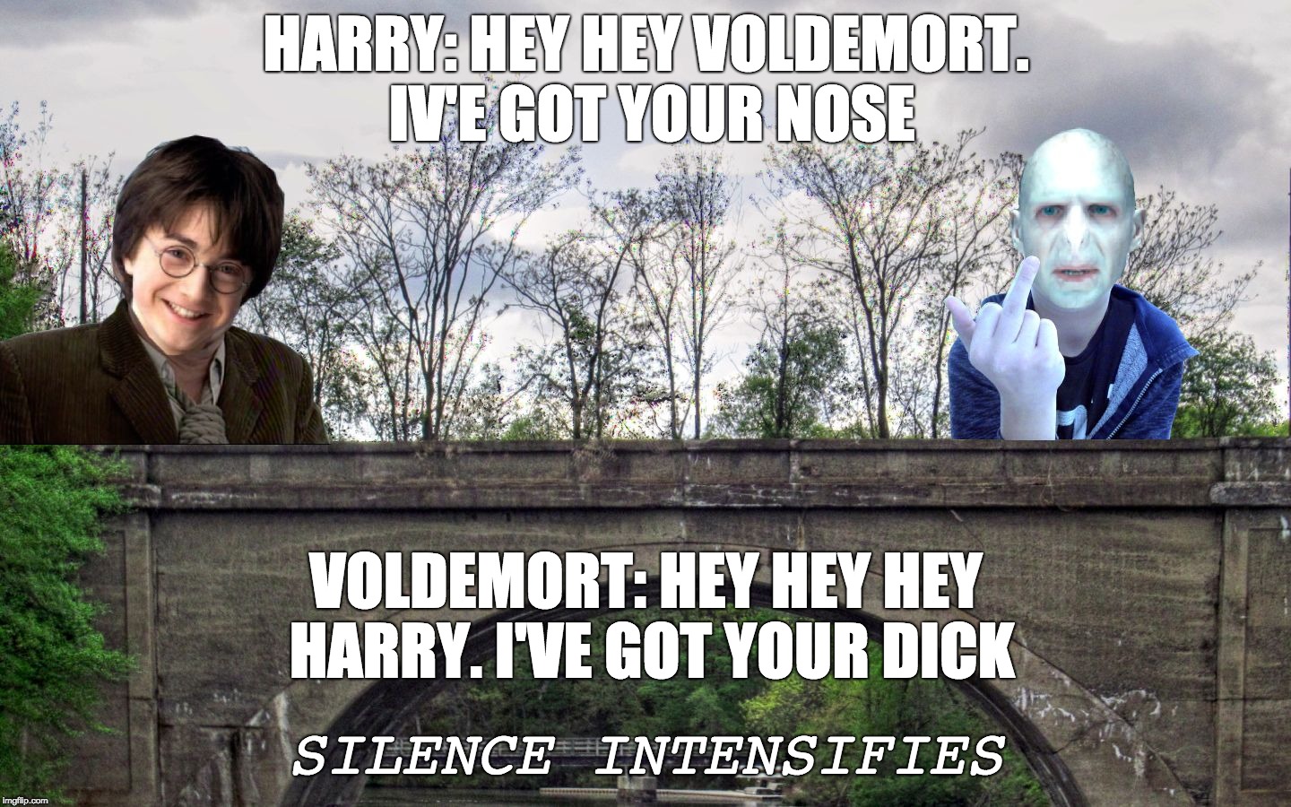 HARRY: HEY HEY VOLDEMORT. IV'E GOT YOUR NOSE; VOLDEMORT: HEY HEY HEY HARRY. I'VE GOT YOUR DICK; SILENCE INTENSIFIES | image tagged in harry without a life | made w/ Imgflip meme maker