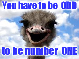  You have to be  ODD; to be number  0NE | image tagged in odd numbers,ostrich,number one | made w/ Imgflip meme maker