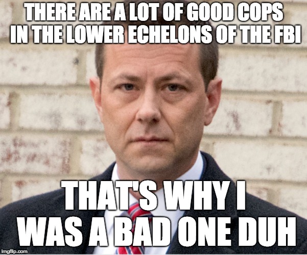 Strzok | THERE ARE A LOT OF GOOD COPS IN THE LOWER ECHELONS OF THE FBI; THAT'S WHY I WAS A BAD ONE DUH | image tagged in strzok | made w/ Imgflip meme maker